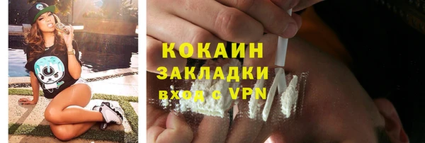 кокс Богородицк