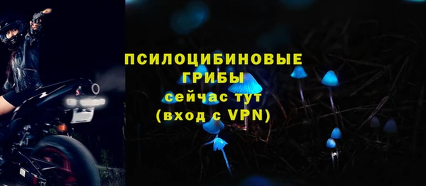 кокс Богородицк