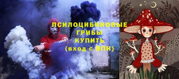 Альфа ПВП Богородск