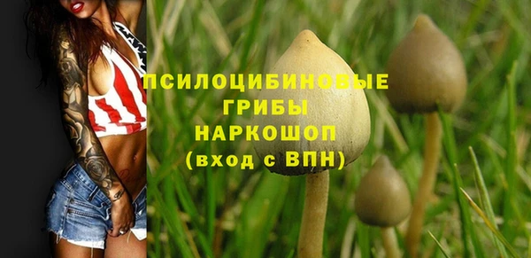кокс Богородицк