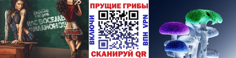 Купить где  Тихорецк  Псилоцибиновые грибы Psilocybe 